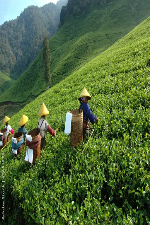 resize-169095100220635684861000F7491822ZRJxpUmYKKgfmS2SRv76Sy2sUOQWP1Rp